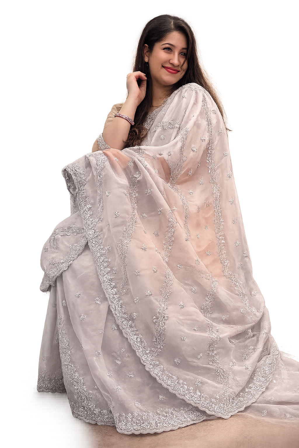 Beautiful light grey saree with embroidery in tissue silk.A colour of balance and calmness £70