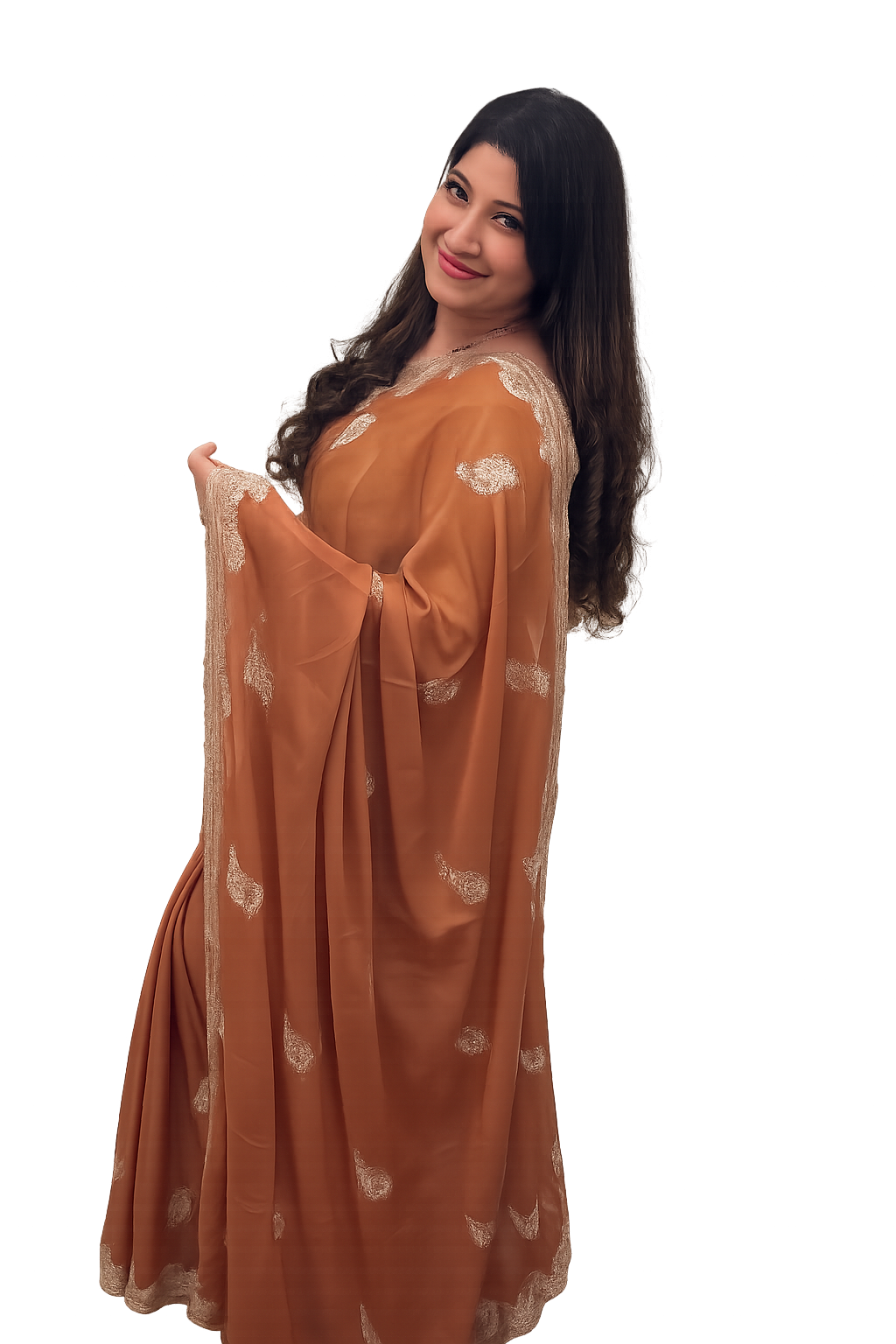 Earthy Brown Zari Embroidered Chiffon Saree £55